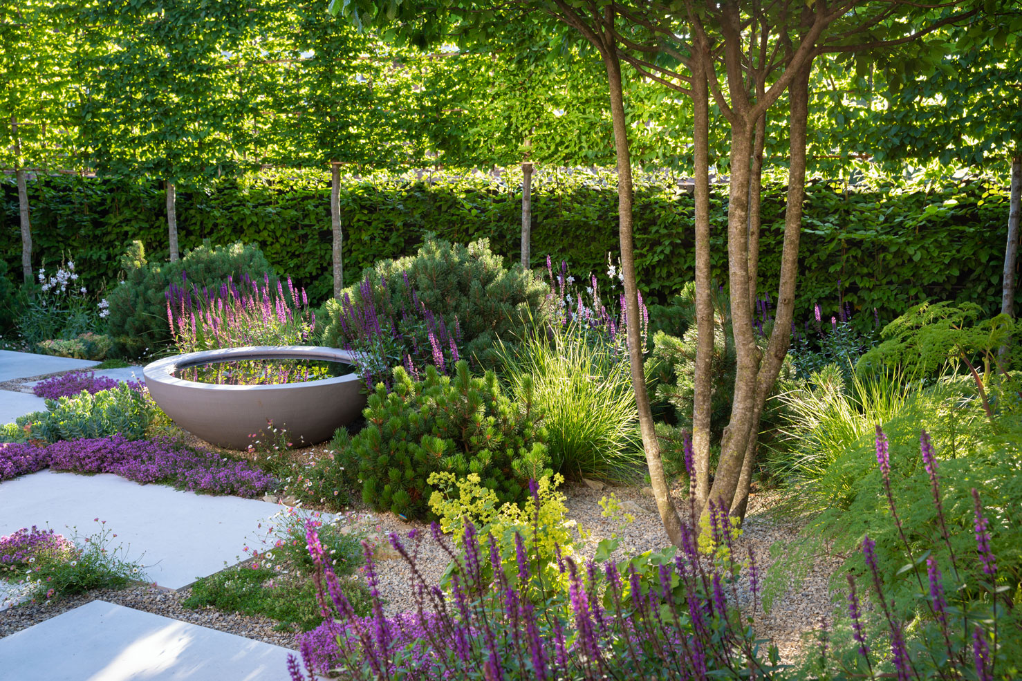 Colm Joseph Suffolk garden design pleached trees hornbeam contemporary design water bowl limestone paving